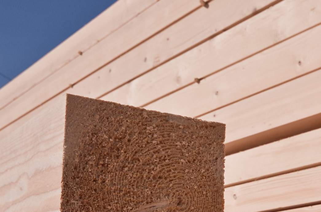 Warum mit Holz bauen